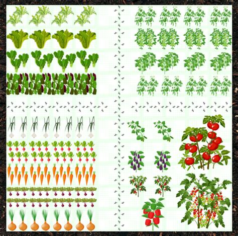 Vegetable Garden 100 sq ft - Embracing Harvest