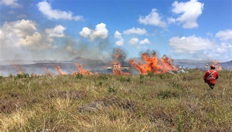 Declaran Alerta Amarilla En Rapa Nui Por Agresivo Incendio Forestal