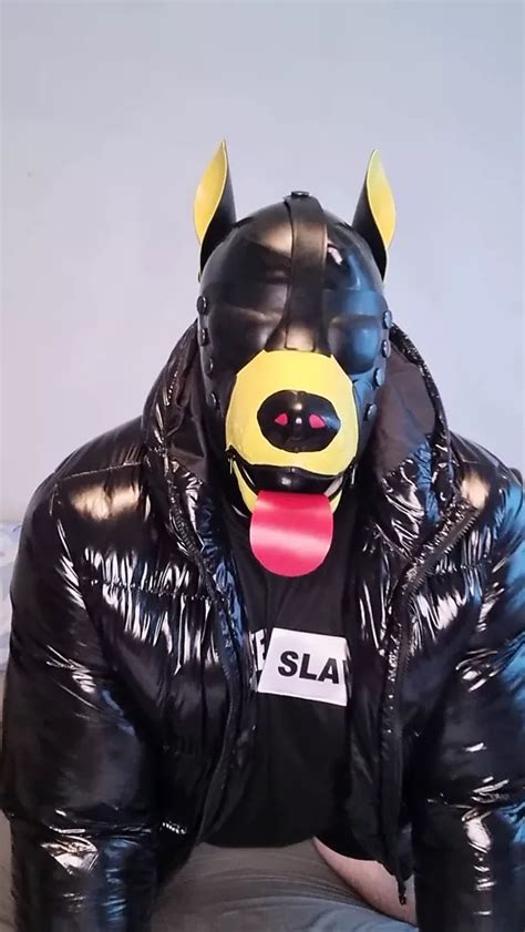 Scally Pup Gagged Trailer Gay Fat Amateur Porn Feat Pup Orlo XHamster