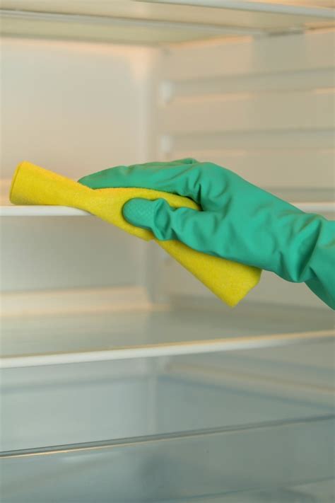 Refrigerator Care and Cleaning Tips | ThriftyFun