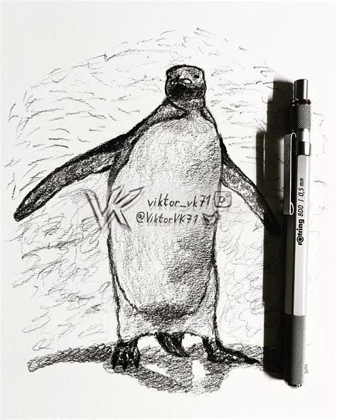 259 ️ 🐧 Boi [part 145] Penguin Drawing R Penguin