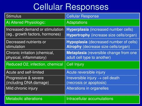 Ppt First Foundations Essentials Of General Human Pathology