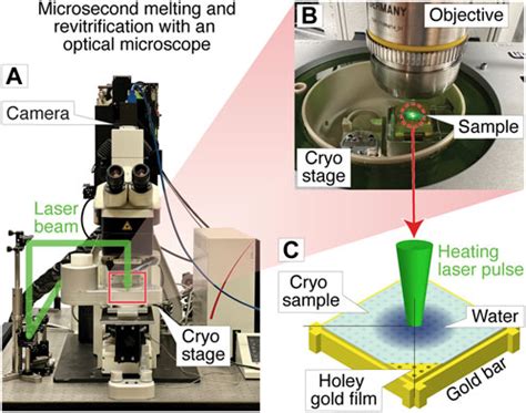 Microsecond Melting And Revitrification Of Cryo Samples With A