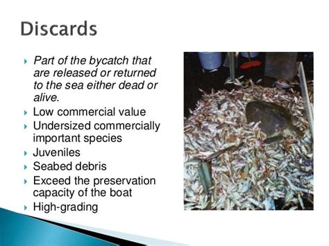 Bycatch Reduction Devices