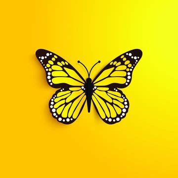 97 Yellow Butterfly Wallpaper Hd Picture MyWeb