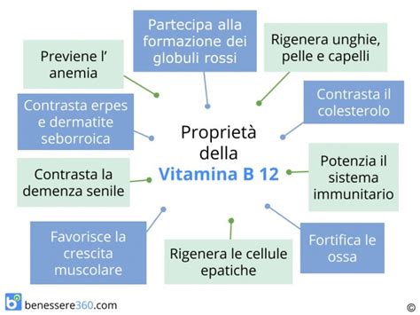 Vitamina B A Cosa Serve Dove Si Trova Alimenti Eccesso E Carenza