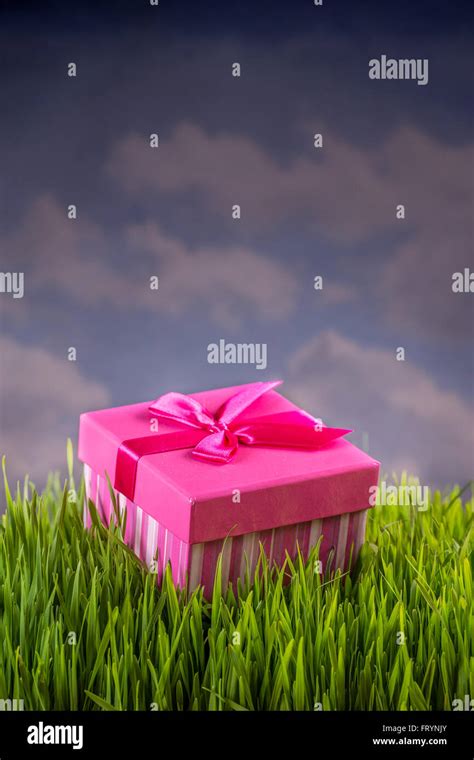 Birthday gift box on the green grass Stock Photo - Alamy