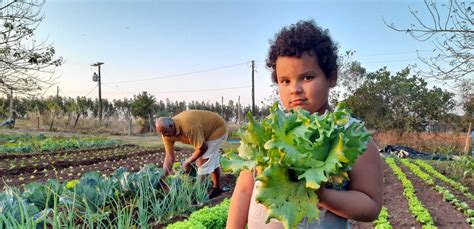 Do Campo Ao Prato A Participa O Da Agricultura Familiar Na