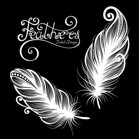 Peerless Decorative Feather Stock Vector Krivoruchko