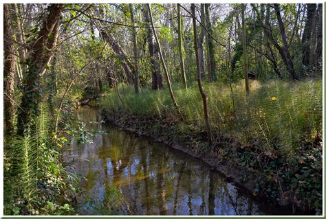 Sous Bois Parc De La Poudrerie De Saint Chamas Charlotte Segurel