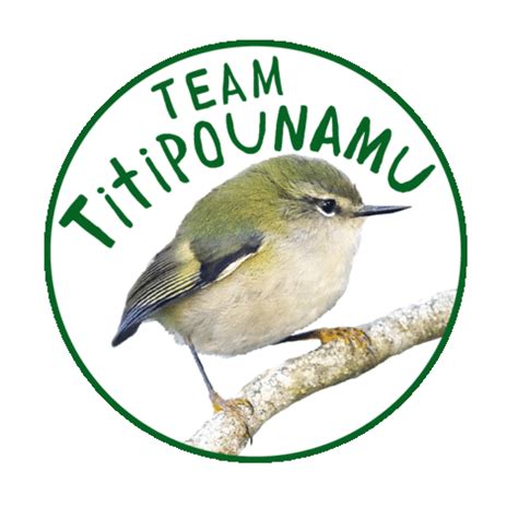 Nz Birds Bird Of The Year Sticker by Melissa Boardman