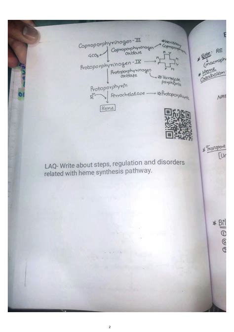 Solution Hemoglobin And Porphyria Johari Mbbs Studypool