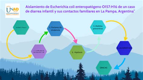 Microbiologia Parte Aislamiento De Escherichia Coli Enteropat Geno