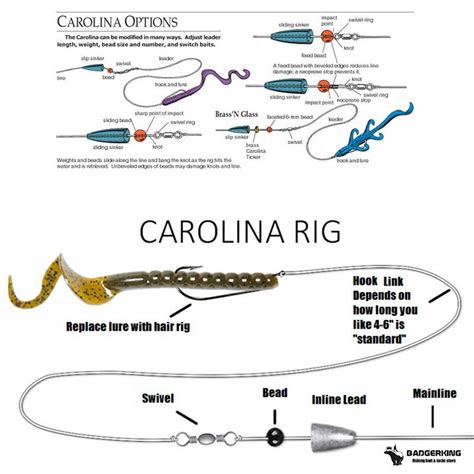 Best hook for carolina rig