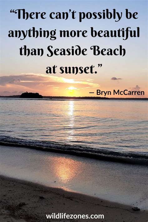 135 Short Beach Quotes For Those Who Love The Sea