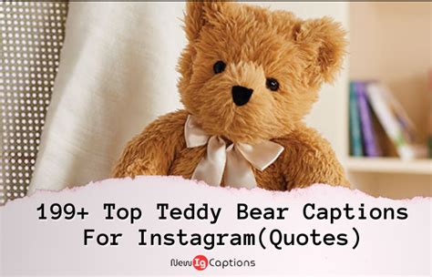 Top Teddy Bear Captions For Instagram Quotes