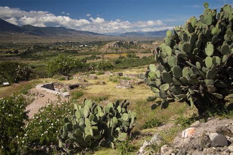 Medio Ambiente Ocho Son Las Reas Naturales Protegidas En Oaxaca