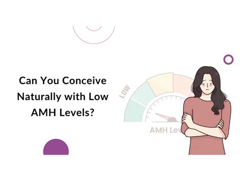 Can You Conceive Naturally With Low AMH Hegde Fertility