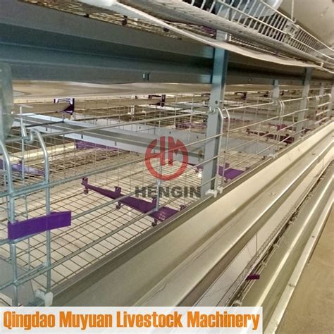 Automatic Hot Galvanized Multi Tier H Frame Battery Poultry Farming