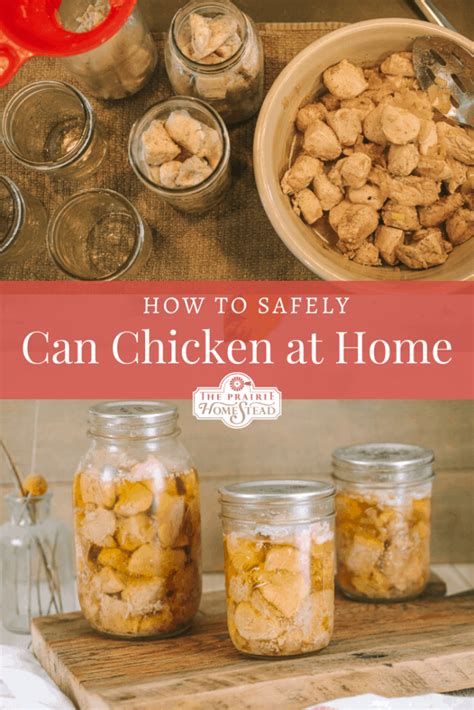 Canning Chicken How To Do It Safely • The Prairie Homestead