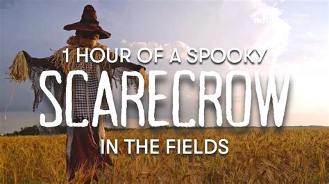 1 HOUR OF A SPOOKY HALLOWEEN SCARECROW IN THE FIELDS CALMING WIND AND