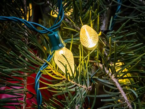 Yellow Lights On Christmas Tree - Free Stock Photo - FOCA Stock