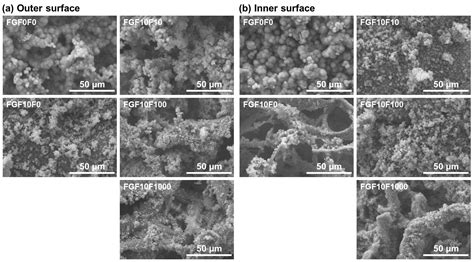 Ijms Free Full Text Fluoride Incorporated Apatite Coating On