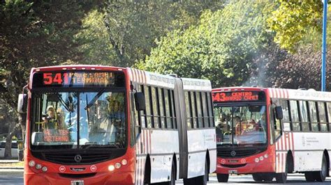 La Cnrt Controlar La Frecuencia Y La Gratuidad De Los Colectivos