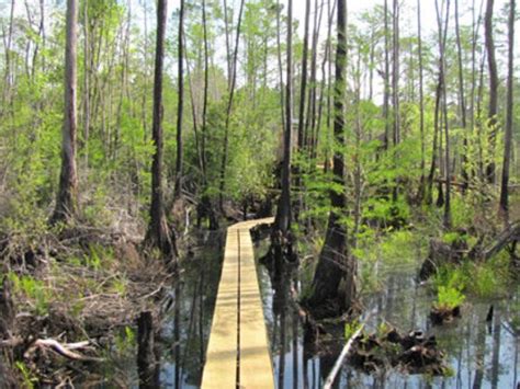 Okefenokee National Wildlife Refuge December And January Events