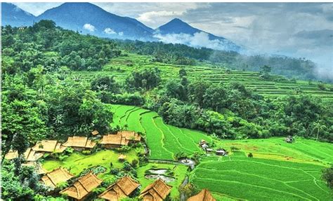 Lingkungan Buatan Pengertian Manfaat Dan Jenisnya Ayok Sinau