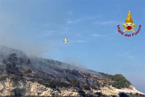 Fiamme Nel Bosco Di Baia San Felice A Vieste Gli Sfollati