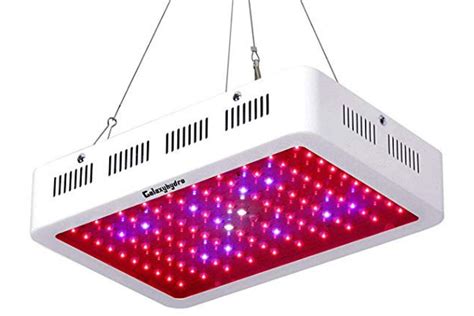 11 Best LED Grow Lights for Cannabis (2021) | Heavy.com