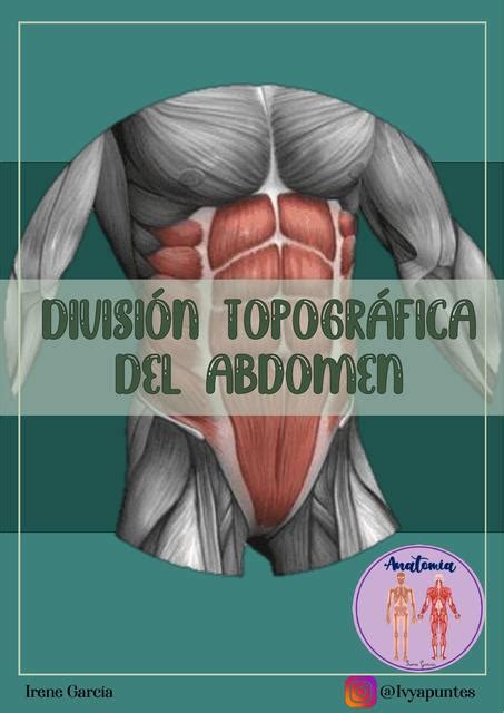 División Topográfica del Abdomen Irene García uDocz