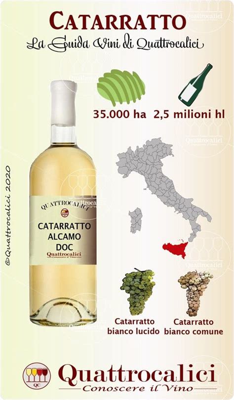 Catarratto Quattrocalici Guida Dei Vini Vino Italiano