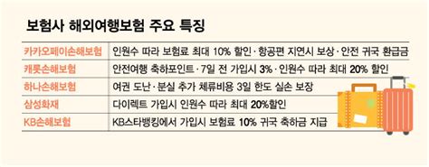 보험사 너도나도 해외여행보험 서비스 확대이유가