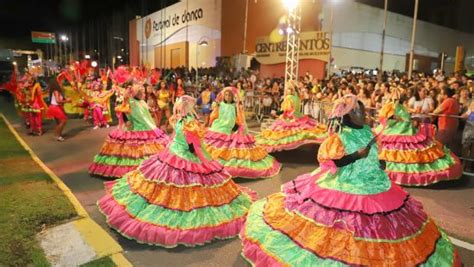 Conheça as escolas de samba que irão agitar a avenida no Carnaval de