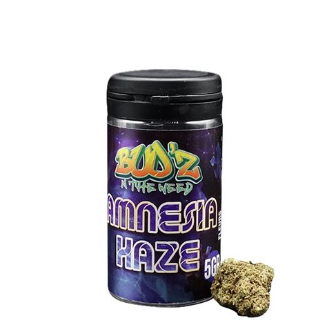 Amnesia Haze Budzntheweed