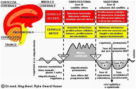 La Spezia Consapevole Nuova Medicina Germanica Le Leggi Biologiche