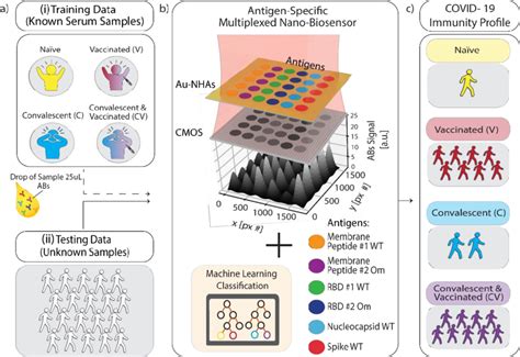 Schematic Overview Of Multiplexed Nanobiosensor Technology Coupled With Download Scientific