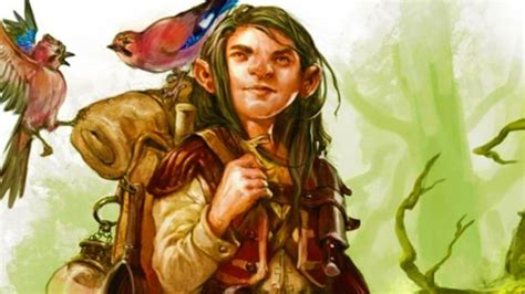 DnD divides fans after changing Druid Wild Shape (again)