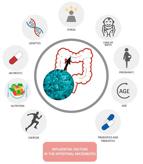 Intestinal Microbiota