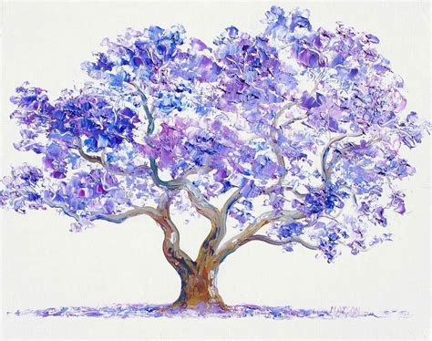 Blue Jacaranda facts and health benefits