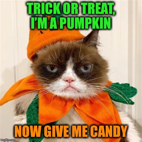 Grumpy Cat Halloween Memes - Imgflip