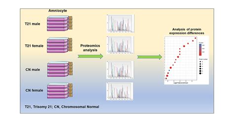 Sex Differences In Protein Expression And Their Perturbations In