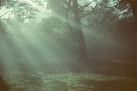 Fondos De Pantalla Luz De Sol Paisaje Bosque Agua Cielo Rama