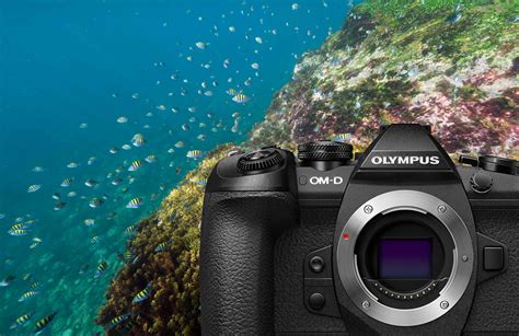 Olympus E M1 Mark II Camera Review Bluewater Photo