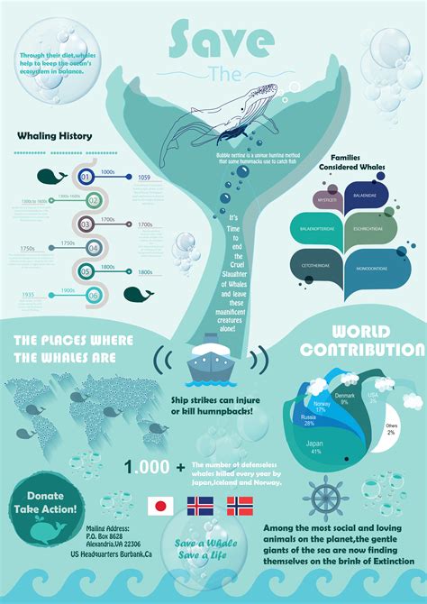 Save The Whales Infographic Behance