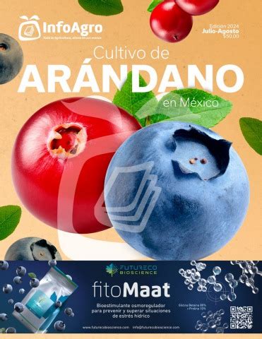 Revista Arándano