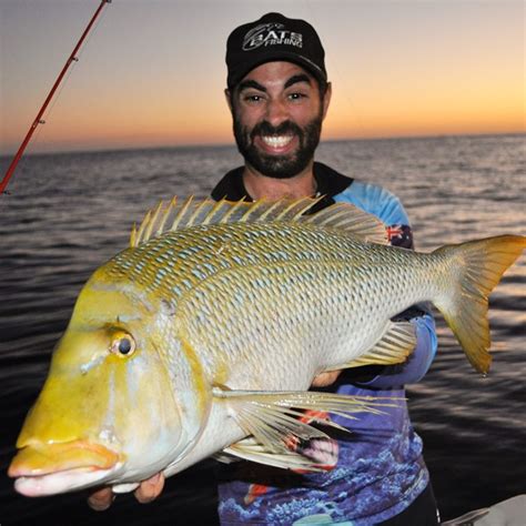 Experiencing The Bunker Group Reefs Bush N Beach Fishing Magazine