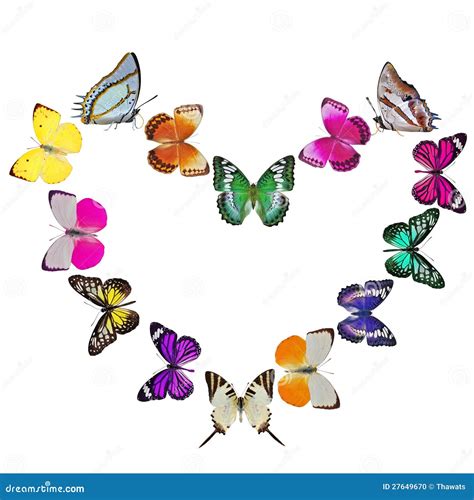 Butterfly Heart Pattern Royalty Free Stock Photo